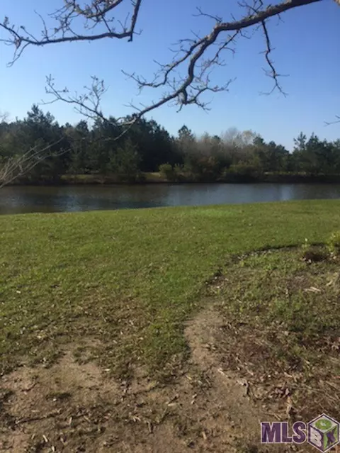 30744 Wild Iris Way, Springfield, LA 70462 photo 2