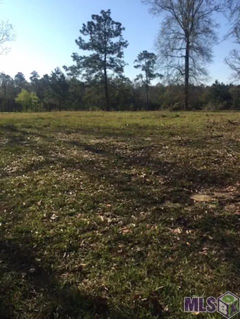30744 Wild Iris Way, Springfield, LA 70462 photo 7