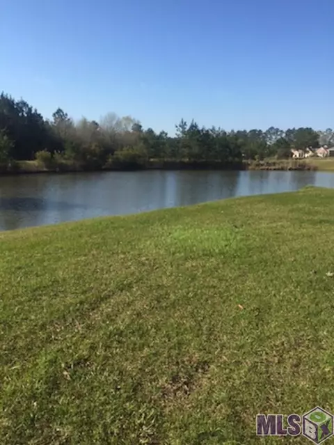 30744 Wild Iris Way, Springfield, LA 70462 photo 3