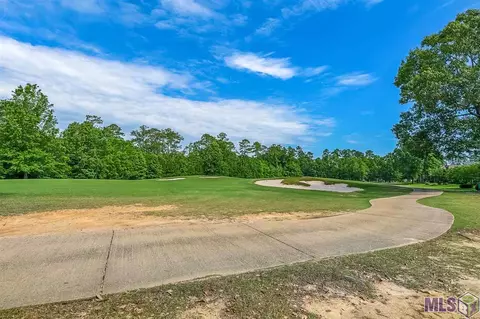 23743 Monarch Pt, Springfield, LA 70462 photo 18