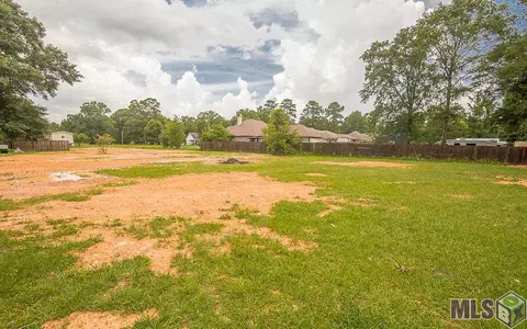 13901 Friendship Rd, Walker, LA 70785 photo 4