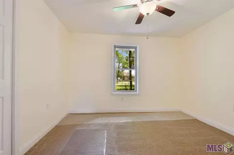 12087 Colyell Dr, Walker, LA 70785 photo 9