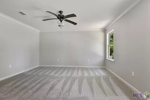 17841 H S Brignac Dr, French Settlement, LA 70733 photo 7