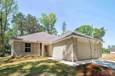 17841 H S Brignac Dr, French Settlement, LA 70733 photo 2