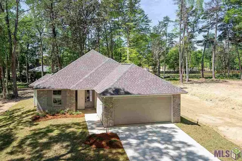 17841 H S Brignac Dr, French Settlement, LA 70733 photo 1