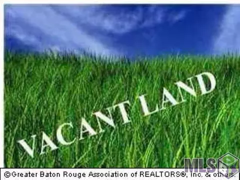 13136 Deer St, Maurepas, LA 70449 photo 1