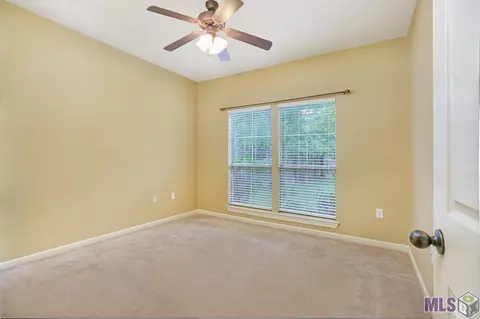 11355 Peaks Ave, Walker, LA 70785 photo 20