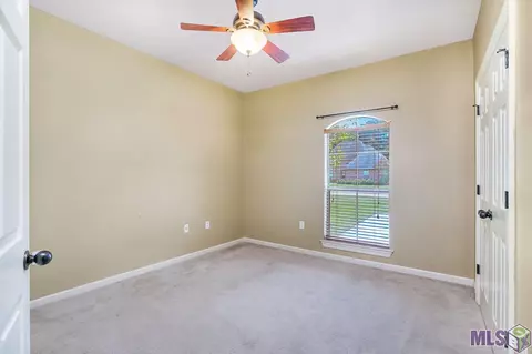 11355 Peaks Ave, Walker, LA 70785 photo 18