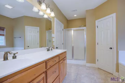 11355 Peaks Ave, Walker, LA 70785 photo 13