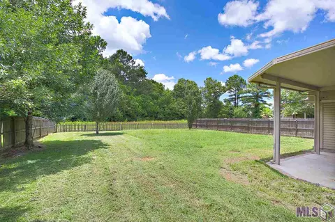 11355 Peaks Ave, Walker, LA 70785 photo 22