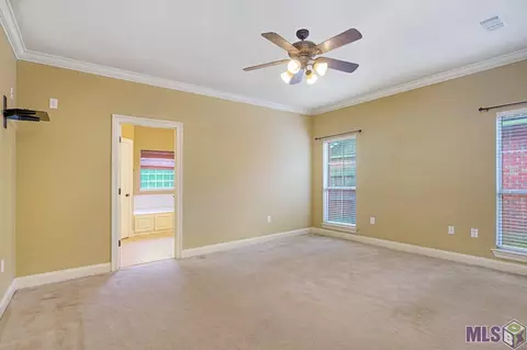 11355 Peaks Ave, Walker, LA 70785 photo 10