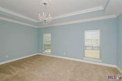 13451 Williamsburg Dr, Walker, LA 70785 photo 24