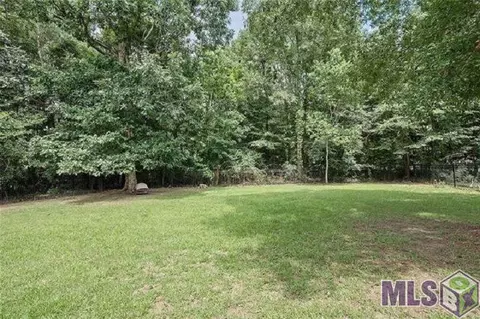 30747 Bluewing Cres, Springfield, LA 70462 photo 3