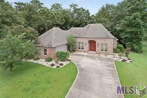 30747 Bluewing Cres, Springfield, LA 70462 photo 1