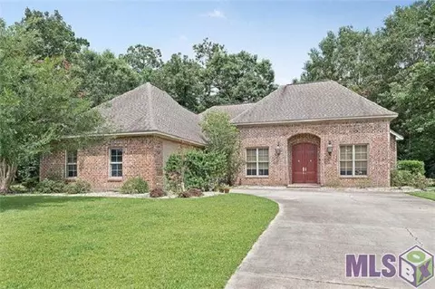 30747 Bluewing Cres, Springfield, LA 70462 photo 2