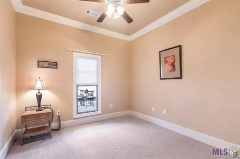 23767 Monarch Pt, Springfield, LA 70462 photo 12