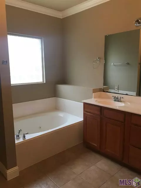 33756 Natures Way, Walker, LA 70785 photo 6
