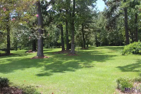 12897 Pleasant Rdg, Walker, LA 70785 photo 10