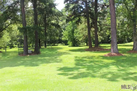 12897 Pleasant Rdg, Walker, LA 70785 photo 9
