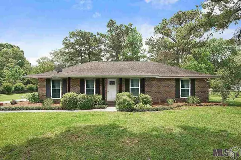 12897 Pleasant Rdg, Walker, LA 70785 photo 1