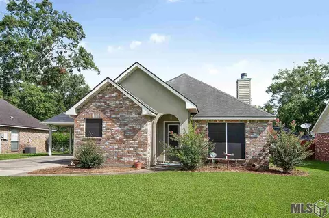14379 Wiley Ave, Walker, LA 70785 photo 1