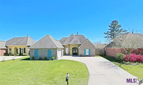 28058 Great Eagle Ave, Walker, LA 70785 photo 1
