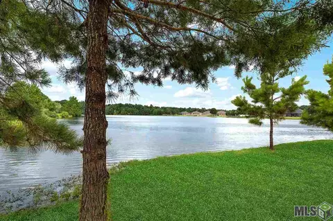 12480 Three Lakes Dr, Walker, LA 70785 photo 28