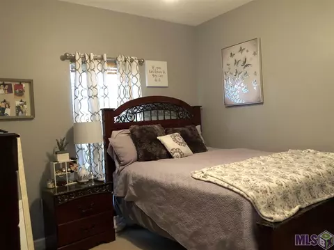 30429 Jo Ann Dr, Walker, LA 70785 photo 14
