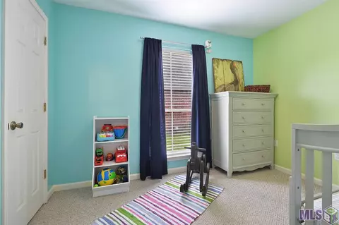 13508 Prairie Ln, Walker, LA 70785 photo 10