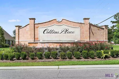 13364 Williamsburg Dr, Walker, LA 70785 photo 17