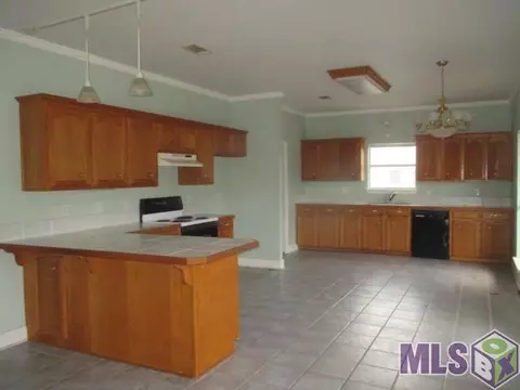 18899 Riverbend Dr, Maurepas, LA 70449 photo 4
