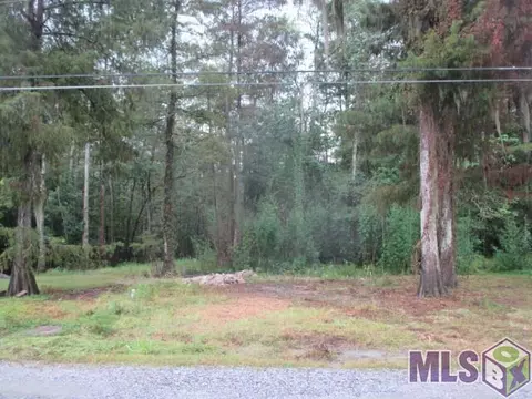18899 Riverbend Dr, Maurepas, LA 70449 photo 17