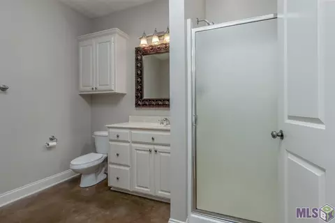 13733 Ball Park Rd, Walker, LA 70785 photo 11