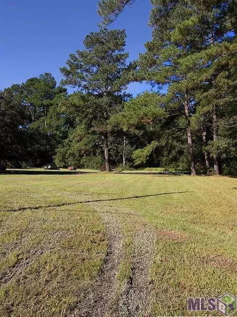 27133 Glascock Ln, Walker, LA 70785 photo 12