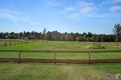12814 Thoroughbred Ln, Walker, LA 70785 photo 37