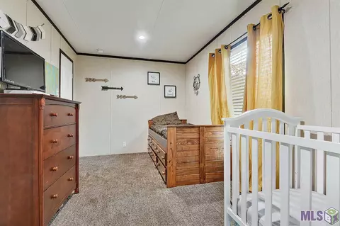 39053 Tyler Ballard Rd, Walker, LA 70785 photo 9