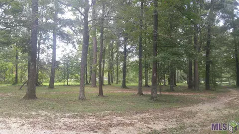 39685 John Lanier Rd, Walker, LA 70785 photo 23