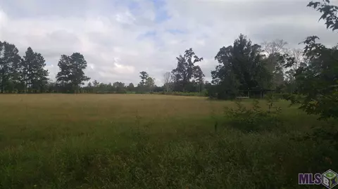 39685 John Lanier Rd, Walker, LA 70785 photo 24