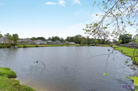 30233 Daffodil Dr, Walker, LA 70785 photo 24