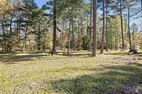 36750 N Corbin Rd, Walker, LA 70785 photo 1