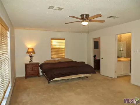 20689 Buns Ln, Springfield, LA 70462 photo 14