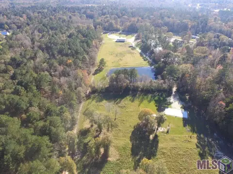 13305 Springfield Rd, Walker, LA 70785 photo 8