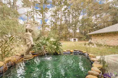 13915 Amber Ln, Walker, LA 70785 photo 5