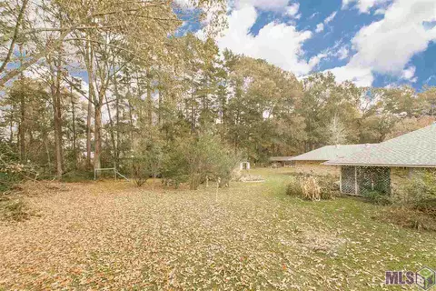 13915 Amber Ln, Walker, LA 70785 photo 9