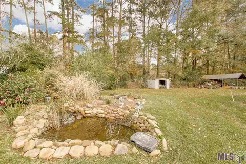 13915 Amber Ln, Walker, LA 70785 photo 7