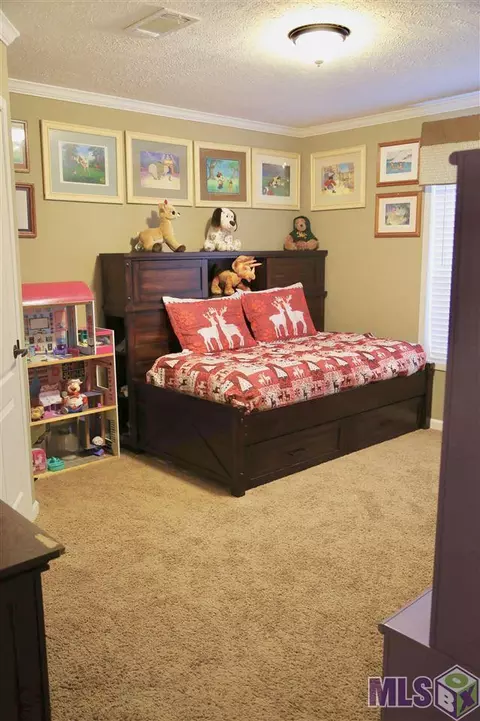 14721 Springfield Rd, Walker, LA 70785 photo 9