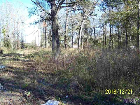 29980 Henderson Ln, Walker, LA 70785 photo 1