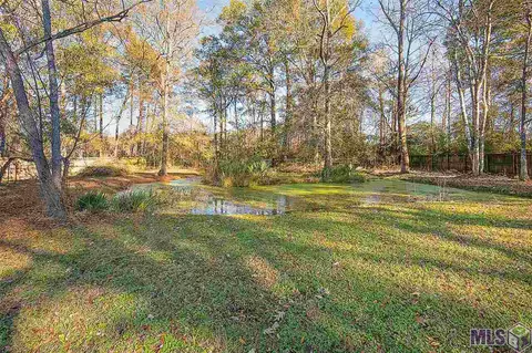 33444 Nancy Dr, Walker, LA 70785 photo 4