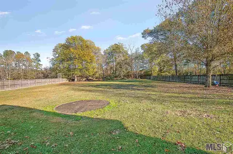 33444 Nancy Dr, Walker, LA 70785 photo 3