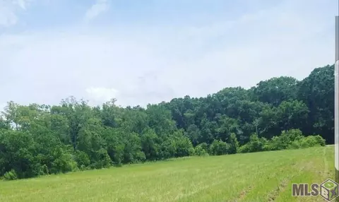 2429 Heck Young Rd, Baker, LA 70714 photo 1